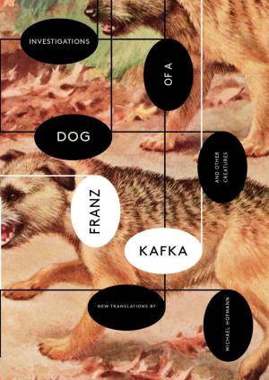Investigations of a Dog