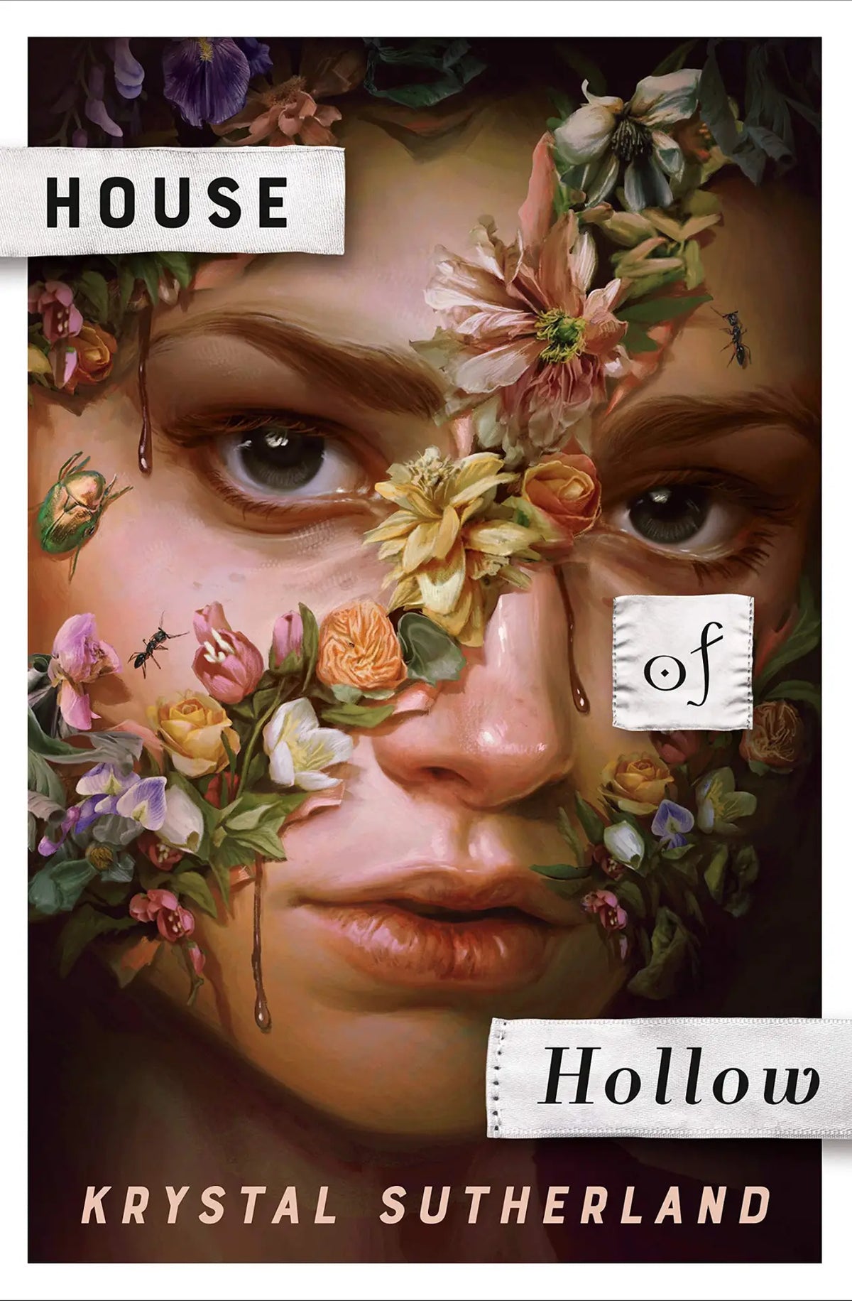 House of Hollow by Krystal Sutherland