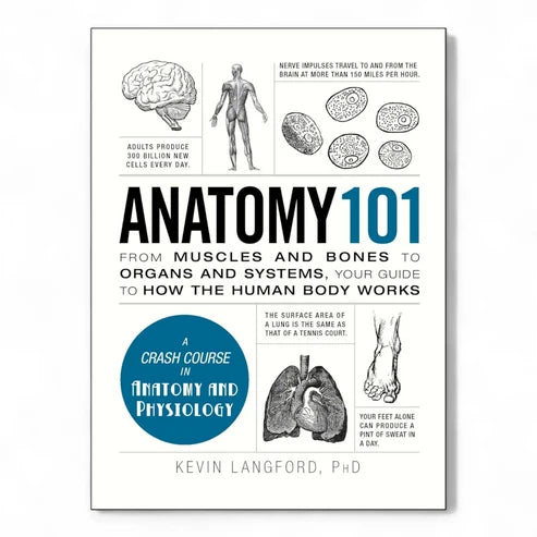 Anatomy 101 by Kevin Langford